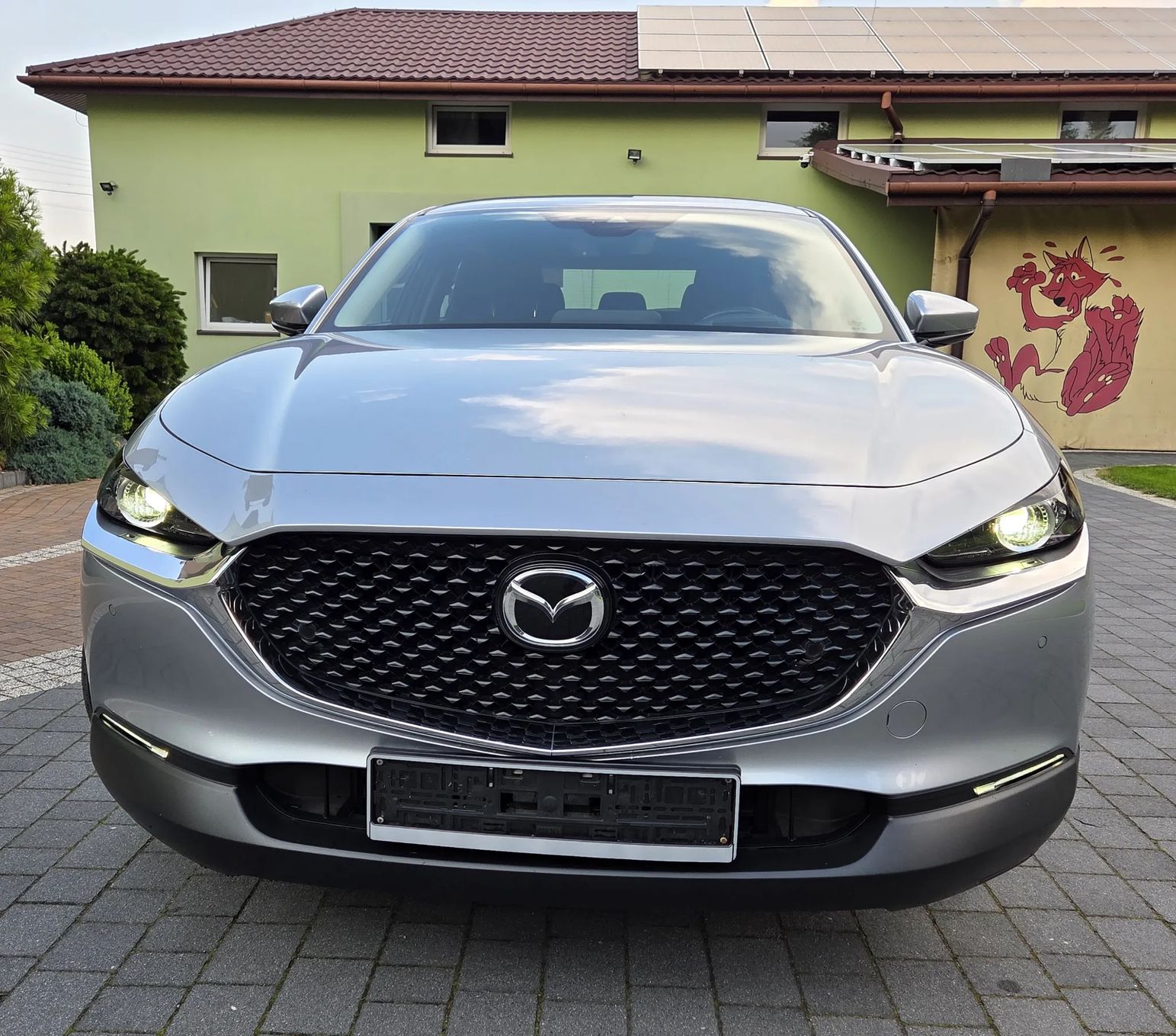 Tesla Cx 30 X 2 0 M Hybrid 2021 - bok